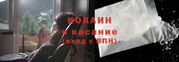 винт Верея