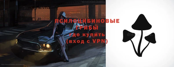 винт Верея