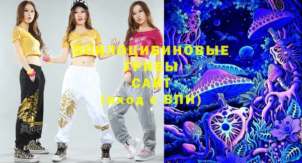винт Верея