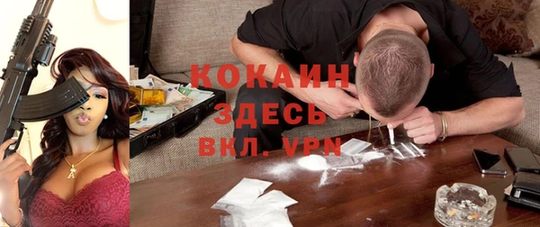 винт Верея